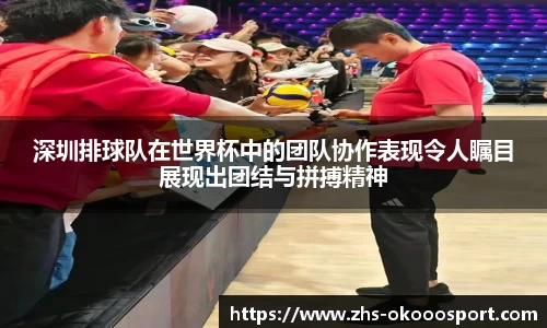 深圳排球队在世界杯中的团队协作表现令人瞩目展现出团结与拼搏精神